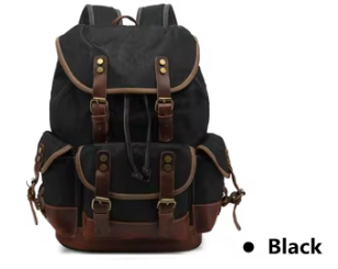 Travel Backpack